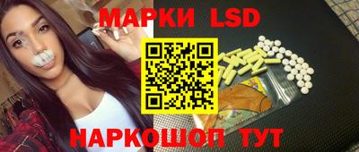 индика Вязьма