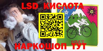 индика Вязьма
