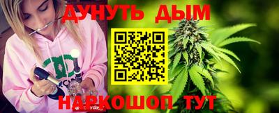 индика Вязьма