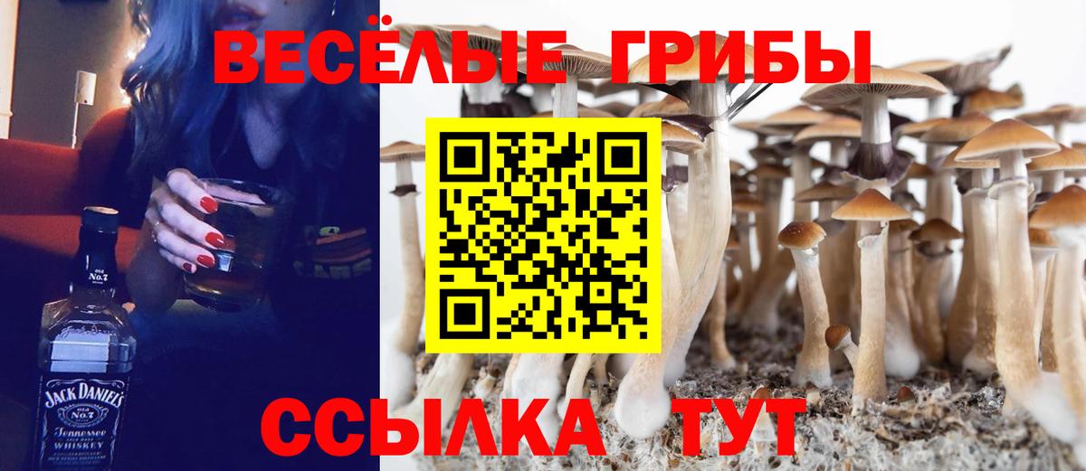 Добрянка  Псилоцибиновые грибы ЛСД  Вход с VPN  Галлюциногенные грибы MAGIC MUSHROOMS 