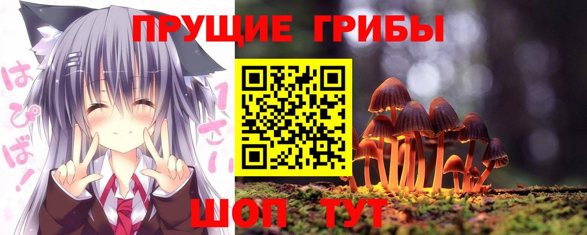 Галлюциногенные грибы мицелий Добрянка